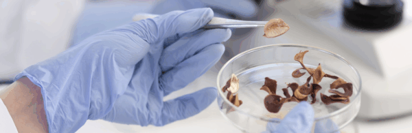 ebs-formazione-area-tecnica-cop