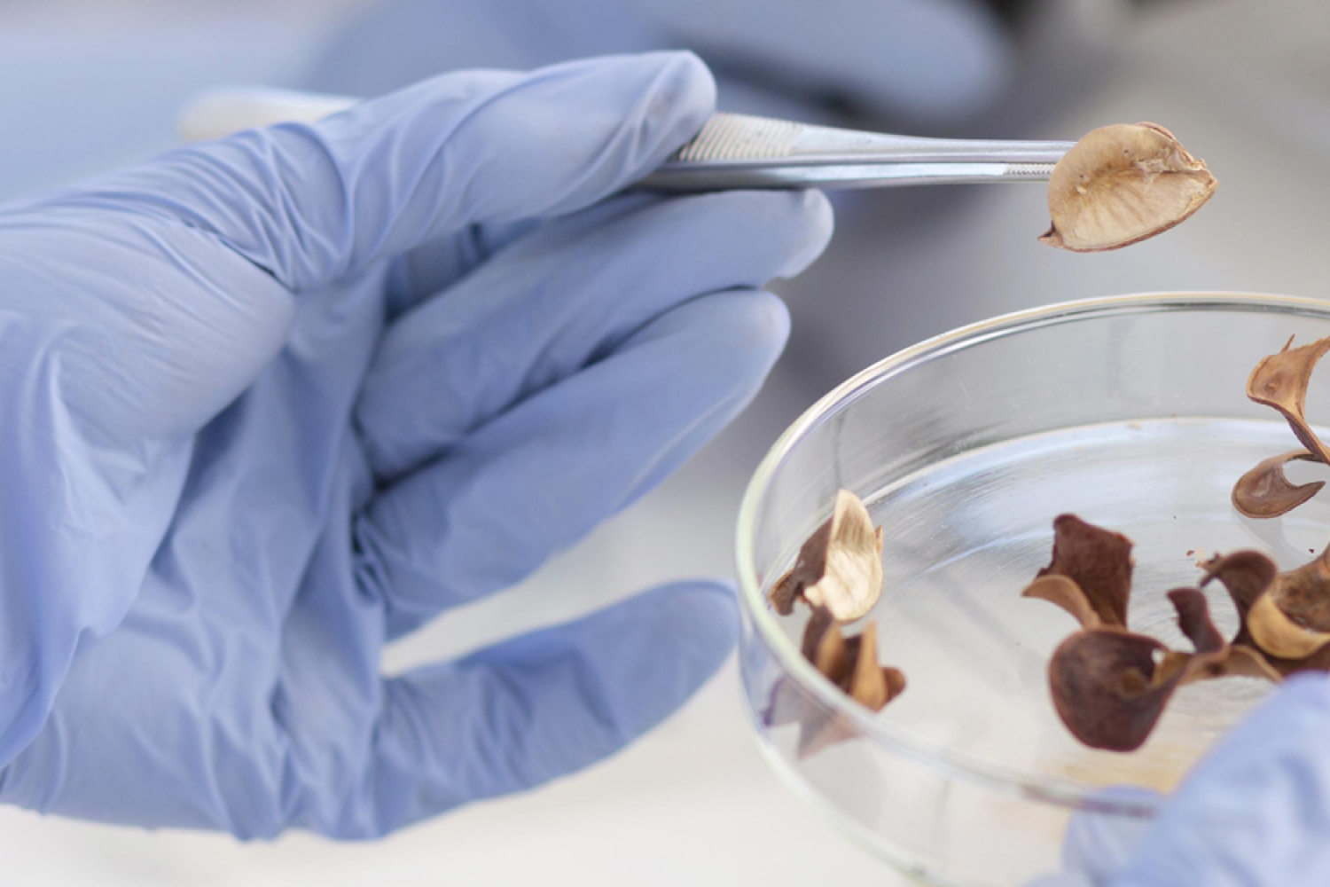 ebs-formazione-area-tecnica-cop